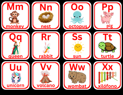 Alphabet in English Flash Cards